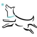 All Dogs Unleashed logo