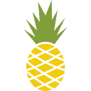 Hawaiian Bros logo