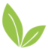 Smoothie Factory logo